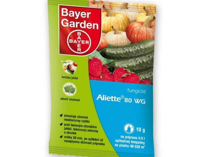ALIETTE 80 WG 10g