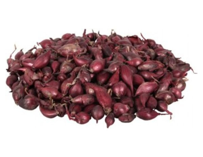 Sázeč cibule ´Karmen´ 8/16 0,25kg