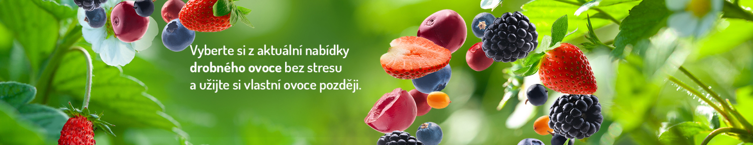 Drobné ovocie CZ - Stromo.cz