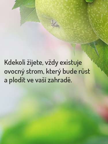 Ovocné stromy CZ - Stromo.cz